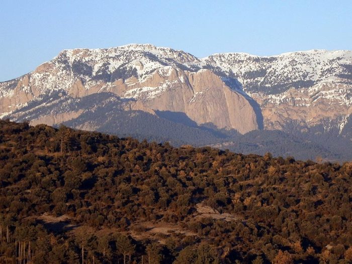 Des de l'altiplà tenim una vista privilegiada sobre la Roca Gran de'n Ferrús